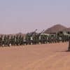 LFI : quand l’arbre du Hamas cache le Polisario