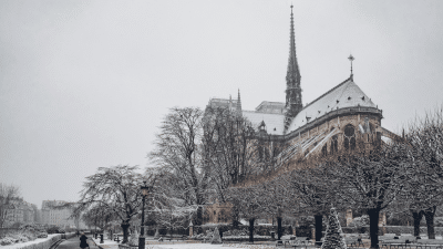 Notre-Dame, un miracle français : entretien avec Pauline de Préval <img class='plus-nav-icon-menu icon-img' src='https://lincorrect.org/wp-content/uploads/2020/07/logo-article-small.png' style='height:20px;'>