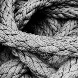 « Le Passé à venir » de Tim Ingold : générations entrelacées