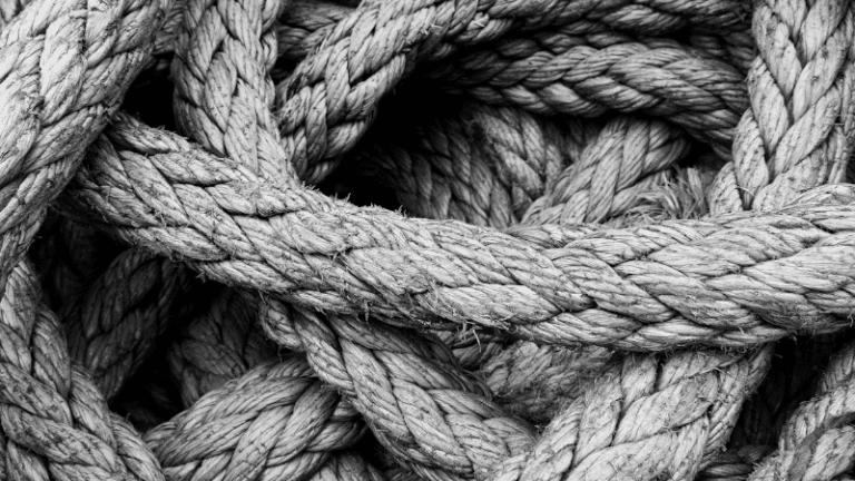 « Le Passé à venir » de Tim Ingold : générations entrelacées