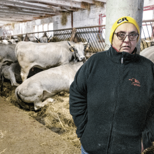 Éleveurs en Ariège : les sentinelles