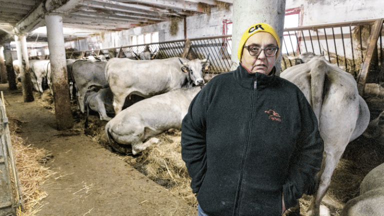 Éleveurs en Ariège : les sentinelles