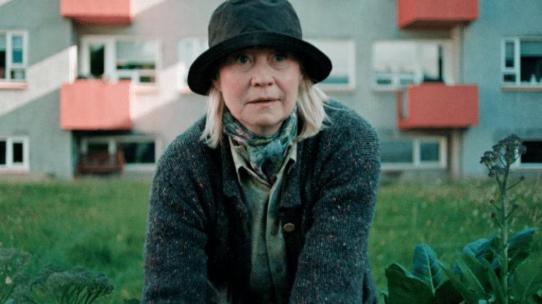 « La Voisine danoise » : un beau chaos scandinave