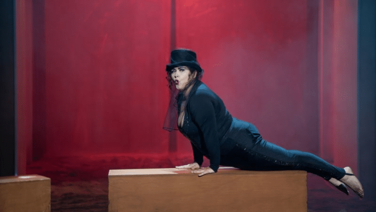 Théâtre : Honoré met Bovary au pilori