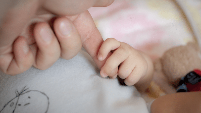 Dénatalité : anatomie d’une chute